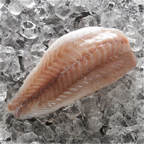 BARRAMUNDI FILLET 200/300 5KG 