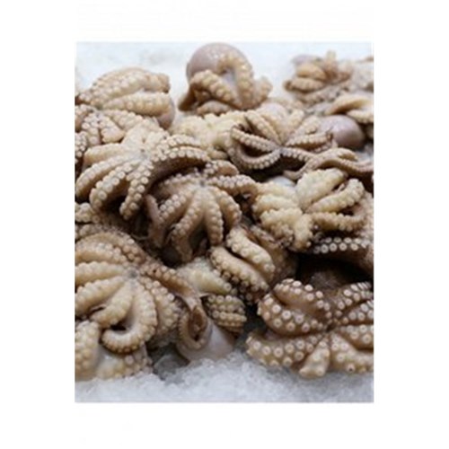 OCTOPUS BABY 1KG