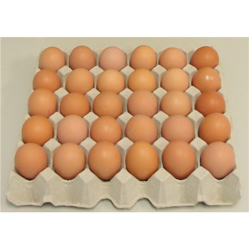 EGG LOOSE 600G 15DZ