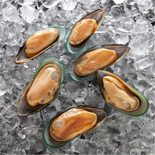 MUSSEL 1/2 SHELL 1KG