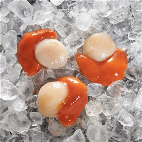SCALLOPS 20/30 ROE ON TS 1KG