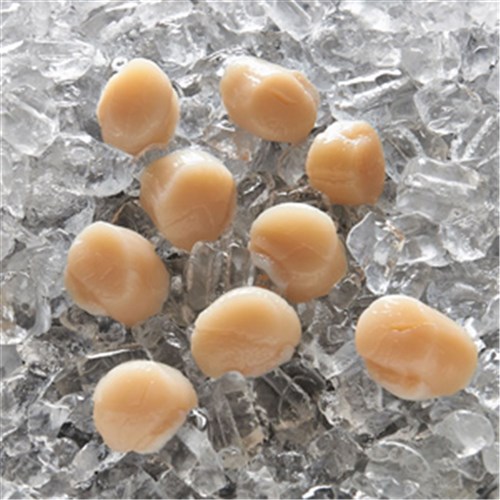 SCALLOPS ROE OFF 10/20 1KG