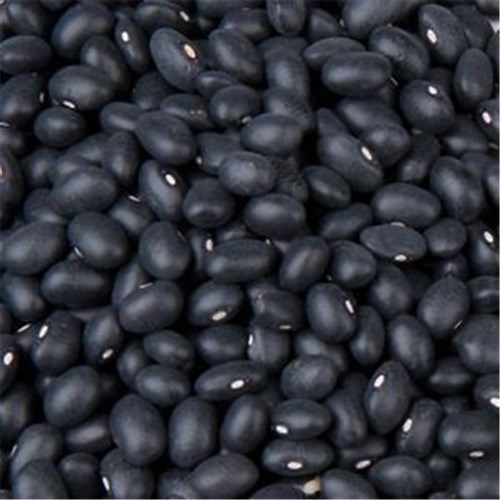 BLACK TURTLE BEANS 1KG