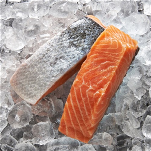 SALMON PORTIONS 5K