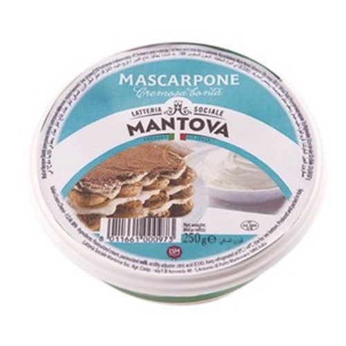 MASCARPONE CHEESE MANTOVA 500GM