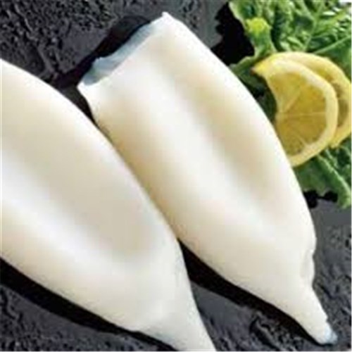 SQUID TUBES U/5 TENDERISED 5KG