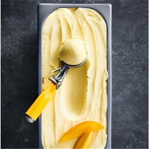 ARTISAN GELATO - MANGO 5LT 