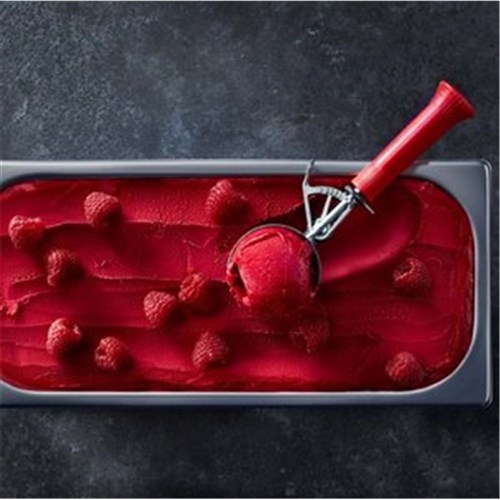 SORBET - RASPBERRY 5LT GOURMET