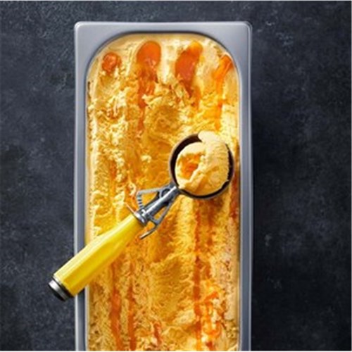 ICE CREAM - MANGO MAGNIFICENT 5LT