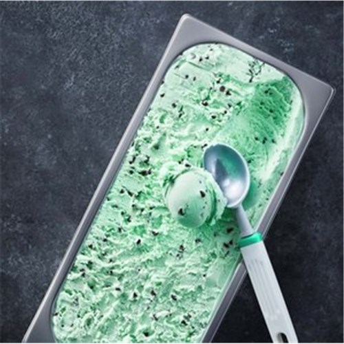 ICE CREAM - PEPPERMINT CHOC CHIP 11LT