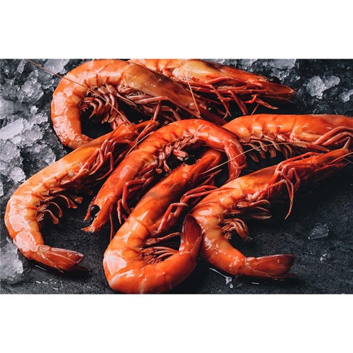 COOKED & PEELED PRAWN 30/60 700G