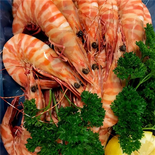 WHOLE COOKED TIGER PRAWNS U/10 5KG